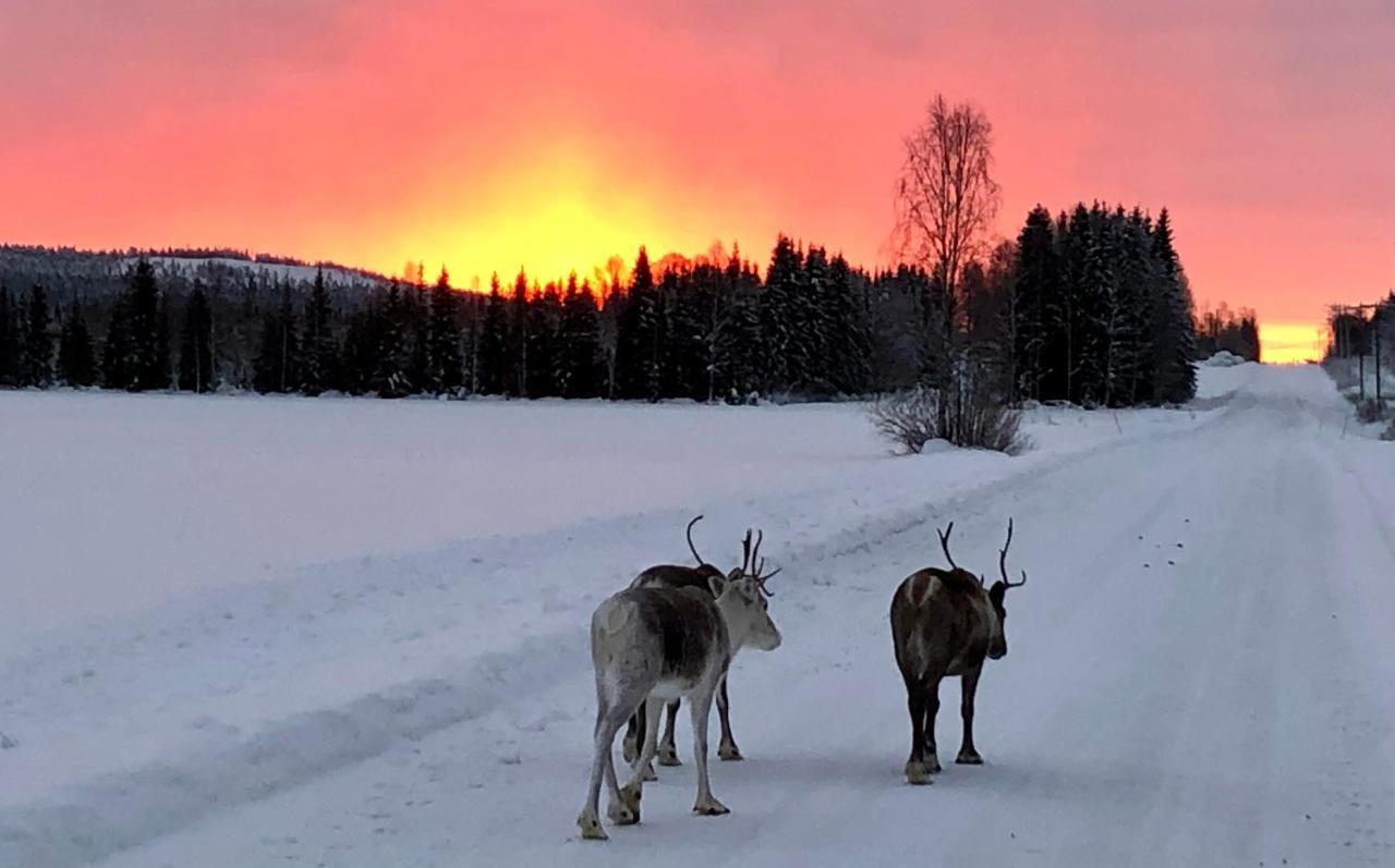 Kaetkae Lake Lodge Tervola Bagian luar foto